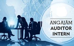 audit