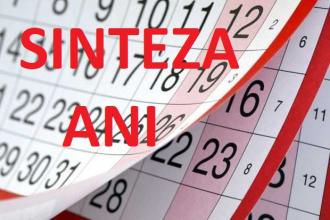 SINTEZA ANI