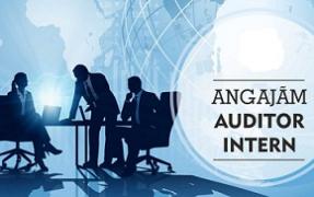 audit